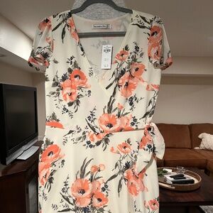 Abercrombie and Fitch Dress